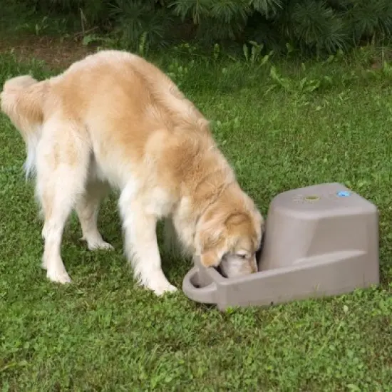 Dakota 283 Dash 5-Gallon Weatherproof Dog & Pet Water Dispenser System for Home & Outdoor Use w/Built-In Rubber Plug, Dark Granite image {3}