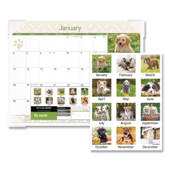 Puppies Monthly Desk Pad Calendar, Puppies Photography, 22 x 17, White Sheets, Clear Corners, 12-Month (Jan to Dec): 2026 image {1}