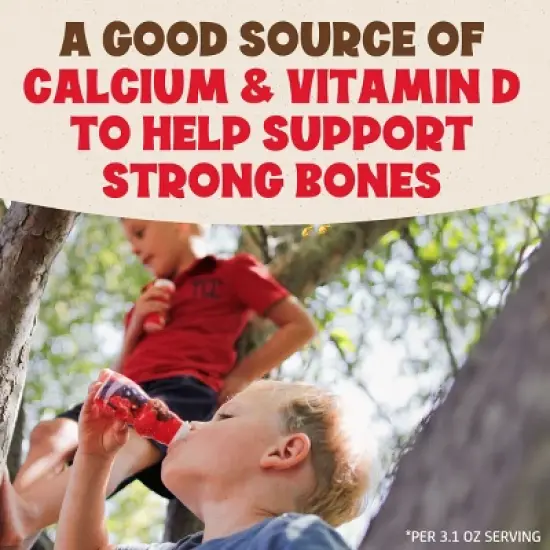 Danimals Strawberry & Mixed Berry Kids' Smoothies - 12ct/3.1 fl oz Bottles image {4}