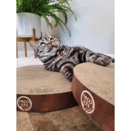 Necoichi Cozy Cat Scratcher Bowl Replacement Pad - 2pk image {7}