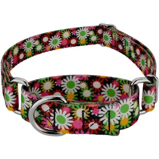 Country Brook Petz Daisy Fields Martingale Dog Collar image {9}