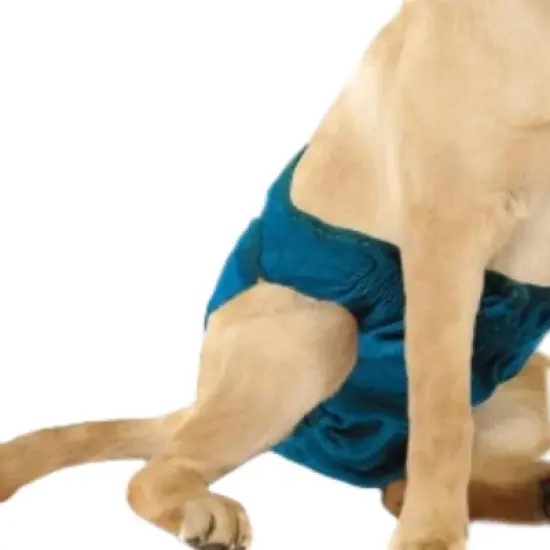 Four Paws Wee Wee Super Absorbent Disposable Diaper Liners image {1}