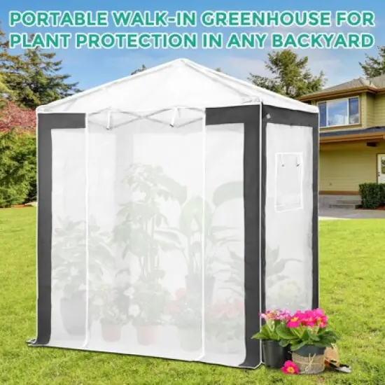 EAGLE PEAK 8x8 Portable Walk in Greenhouse , Heavy Duty Pop Up Green House, Front Roll Up Zipper Entry Door and Mesh Windows image {1}