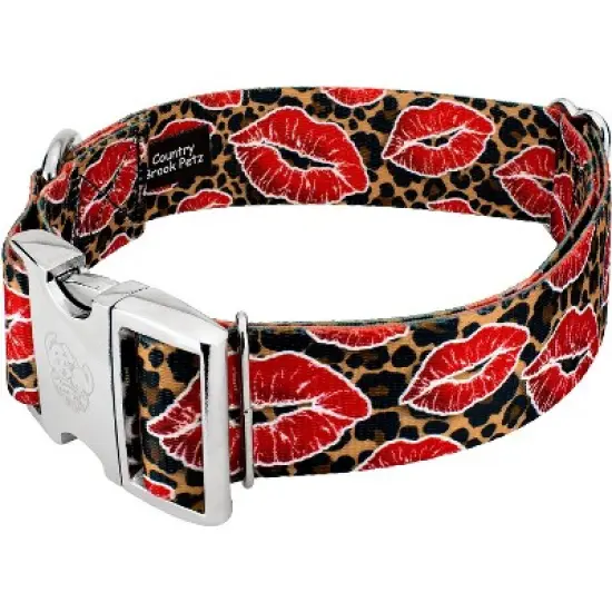 Country Brook Petz HossFit Jr Wide Premium Dog Collar - Affection Collection image {1}
