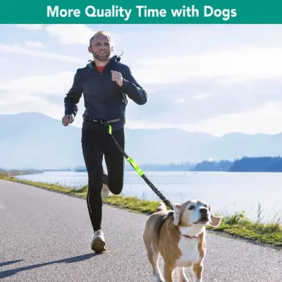 PetAmi Hands Free Dog Leash, Adjustable Waist Belt for Large Dog Walking Up to 125 lbs, Reflective Safety Bungee Running Hiking Jogging Biking image {5}