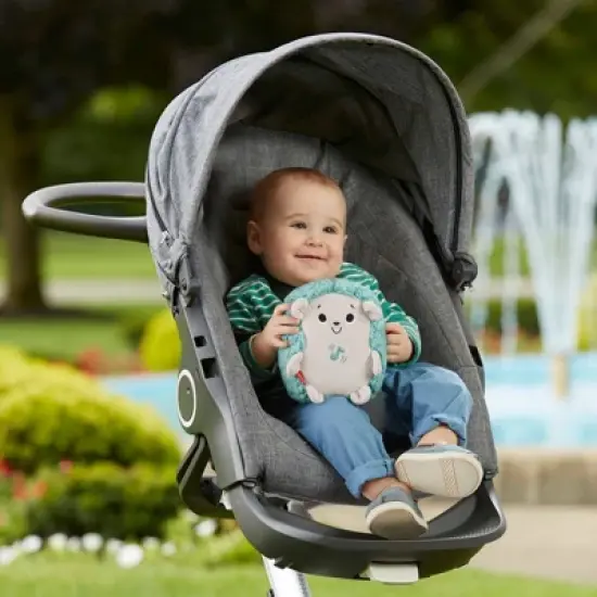Fisher-Price Calming Vibes Hedgehog Soother image {1}
