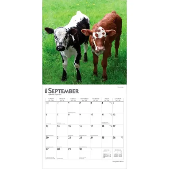 BrownTrout Baby Moo Moos 2026 12"x24" Hanging Square Wall Calendar Plastic-Free image {3}
