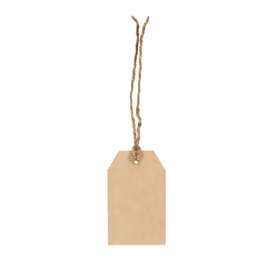10ct Kraft Gift Tags Brown - Spritz&trade; image {1}