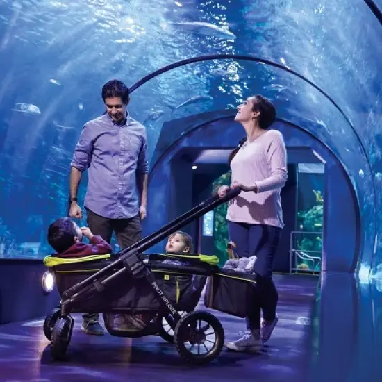 Evenflo Pivot Xplore All-Terrain Double Stroller Wagon image {19}