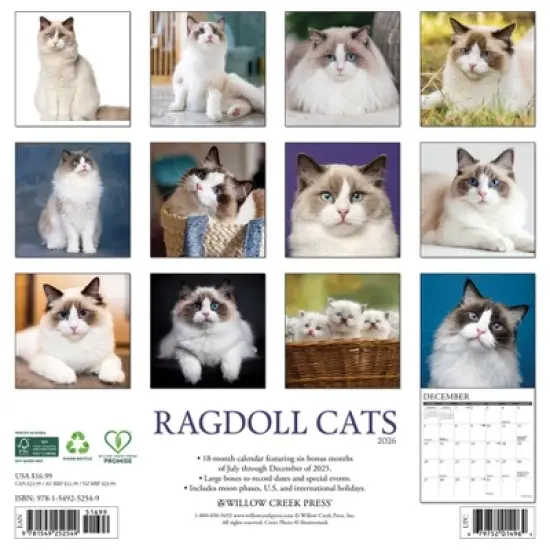 Willow Creek Press 12"x12" 2026 Ragdoll Cats Wall Calendar image {1}