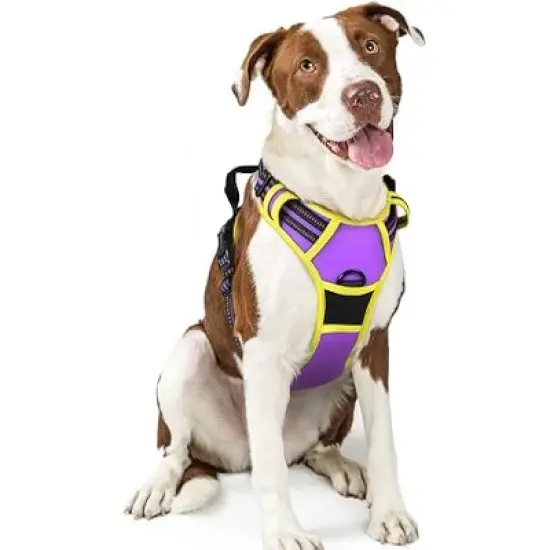 rabbitgoo Dog Harness No Pull with 2 Leash Clips, Control Handle for Large Dogs, Purple & Yellow, L image {1}