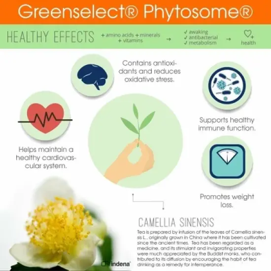 Genius Probiotics &ndash; Weight Loss & Digestive Support with Green Tea Extract &ndash; Bloating Relief & Metabolism Boost &ndash; 30 Servings image {5}