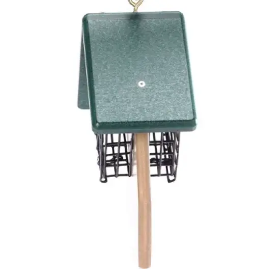 Birds Choice 2-Cake Feeder with Angled Suet Basket Bird Feeder: Weather-Resistant, No Assembly, Polyether Material image {1}