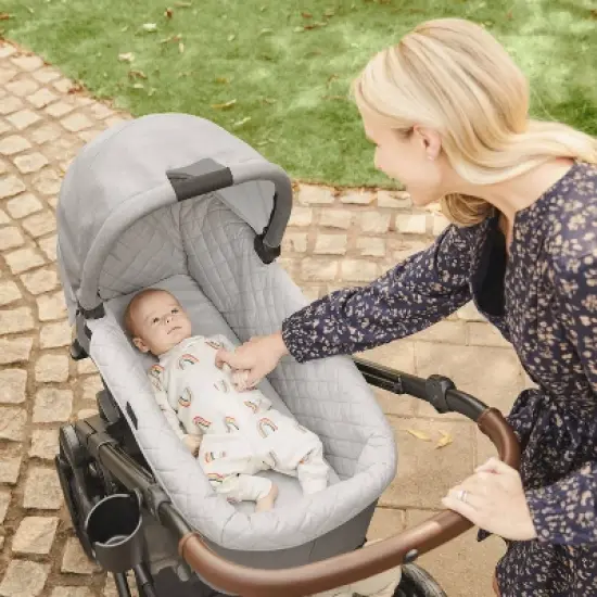 Graco Modes Premier Universal Carry Cot image {3}