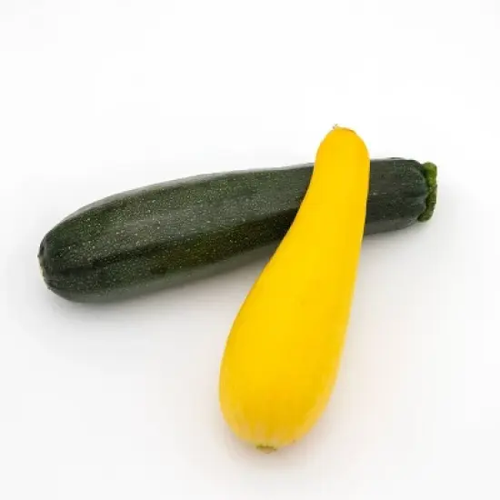 Zucchini and Yellow Squash - 2ct image {3}