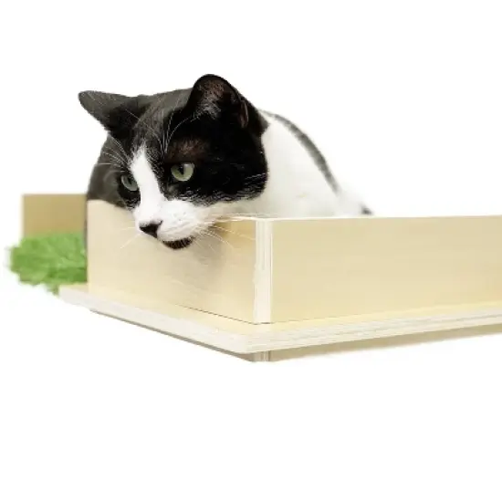 On2Pets Canopy Shelves Cat Box - Beige image {3}