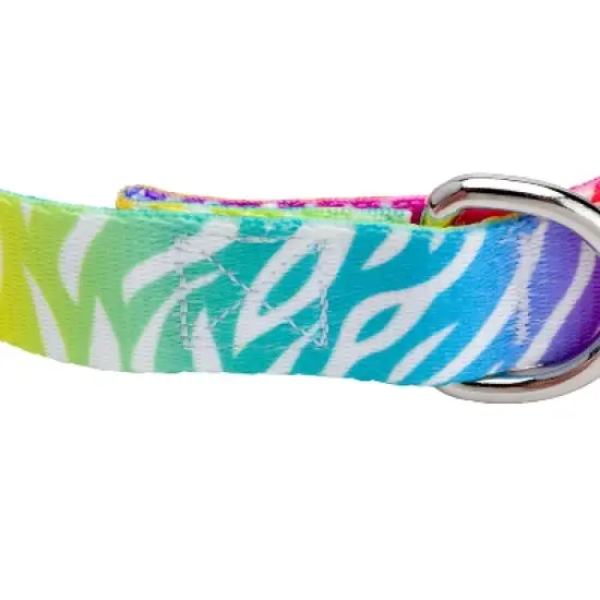 Country Brook Petz Premium Fashion Zebra Dog Collar image {5}