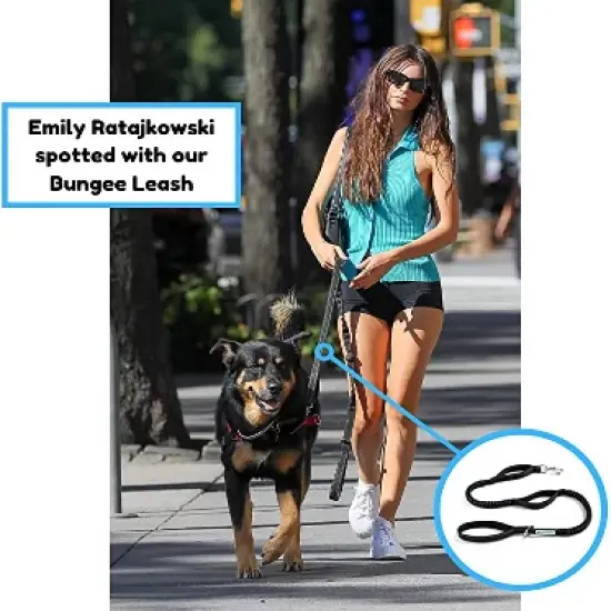 Shed Defender Shock Absorbing Bungee Leash - Three Padded Traffic Handles, Stretches from 4-7 ft. image {3}