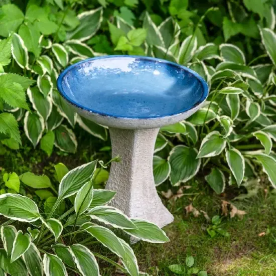 Sunnydaze Nantes Ceramic Bird Bath with Lava Finish - White Distressed Ceramic Finish - 16" H image {5}