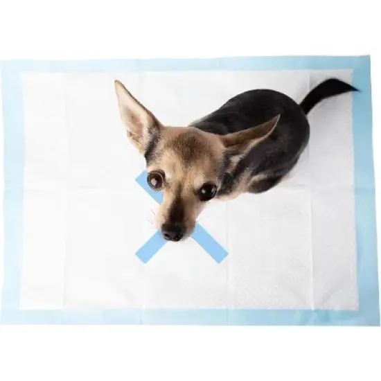 SPOT X Marks The Super Absorbent Pee Pads - 30 Pack (22" x 22") image {2}