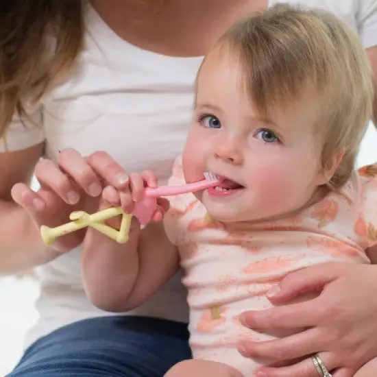 Dr. Brown's Toddler Toothbrush with Soft Bristles - Pink Flamingo - 1-4 years image {6}