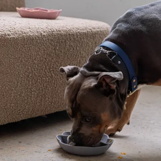 Dexypaws: Flower Slow Feeder - Grey - Dog & Pet Mealtime Accessory For 8" bowls image {3}