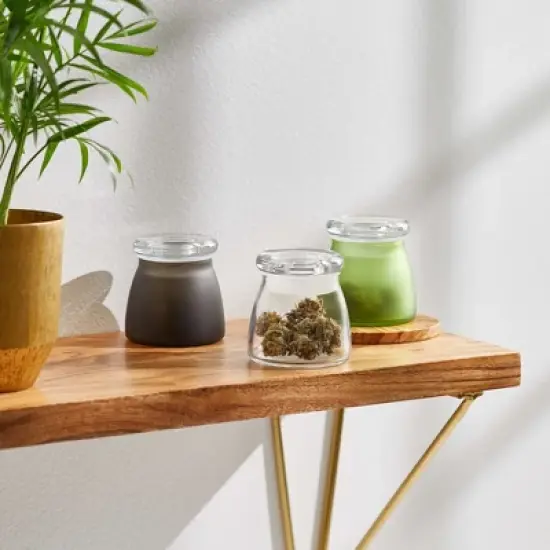 Libbey BudShield Green Storage Jar with Lid, 4.5-ounce, Set of 3 image {4}