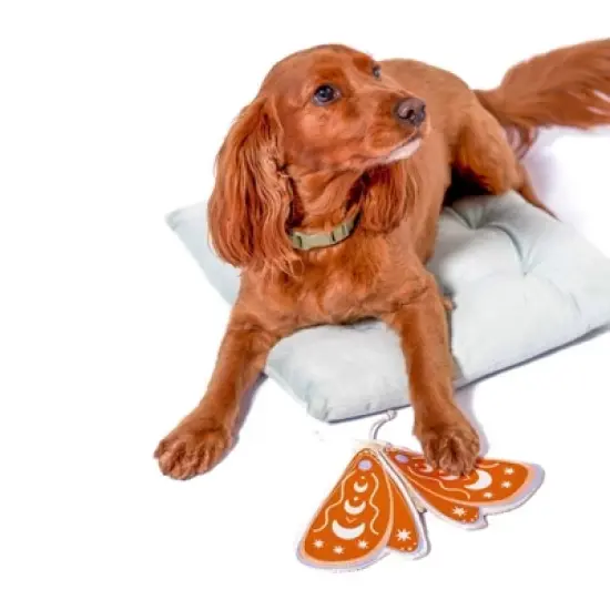 AWOO Canvas Luna Moth Dog Toy - White image {3}