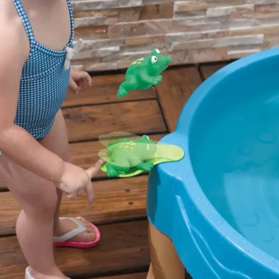 Step2 Duck Pond Water Table image {4}