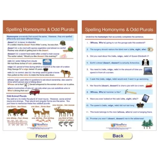 NewPath Learning Spelling Rules Bulletin Board Chart Set - Set of 7 image {6}