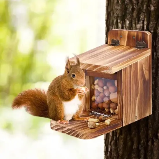 Snynuxx Squirrel Feeder Table, Wooden Squirrel Picnic Table Feeders for Outdoors, Funny Squirrel Feeder Nuts Bar Corn Cob with Soild Structure (Brown) image {2}
