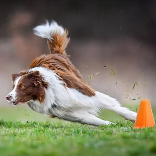 Juvale 50 Pack Mini Cones for Classroom, Small Sports Markers for Soccer, Playground - 3 inches image {3}