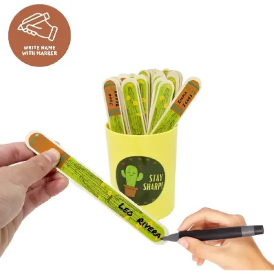 4E's Novelty 36 pcs Cactus Flip Sticks with Storage Cup, Flip Name Sticks Student Grouping Stick, Classroom Teacher Supplies image {3}