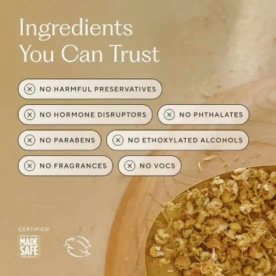 Branch Basics&nbsp;Fragrance-Free&nbsp;Concentrate Cleaner - 8oz image {7}