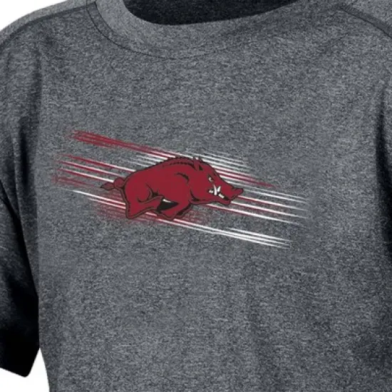 NCAA Arkansas Razorbacks Boys' Gray Poly T-Shirt image {2}