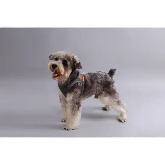 PETKIT Air Pro Dog Harness - M image {9}