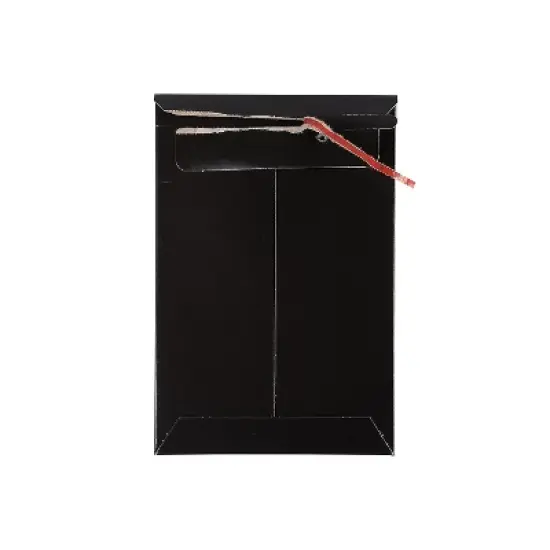 JAM Paper Stay-Flat Photo Mailer Stiff Envelopes with Self-Adhesive Closure 6 x 9 Black 6 Rigid image {4}