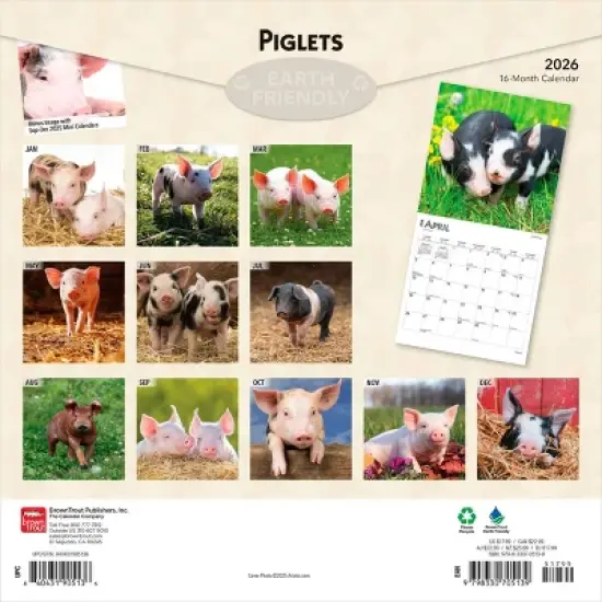 BrownTrout Piglets 2026 12"x24" Hanging Square Wall Calendar Plastic-Free image {1}