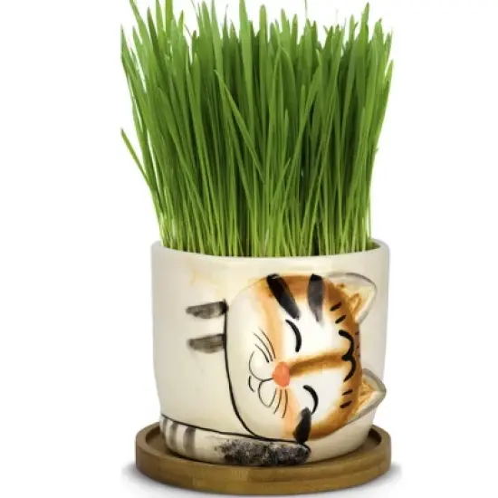 Window Garden Animal Planters - Large Tiger Kitty Pot for Indoor Live Plants, Succulents, Flowers & Herbs image {2}