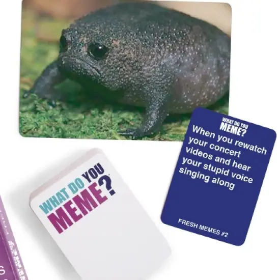 What Do You Meme? Game Expansion Pack Bundle image {4}