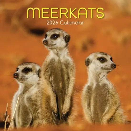 2026 Square Wall Calendar, Meerkats, 16-Month Animals Theme with 180 Reminder Stickers (12x12 In) image {4}