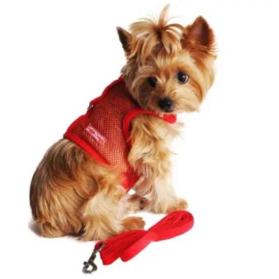 Doggie Design Cool Mesh Dog Netted Harness with Leash - Solid Red image {3}