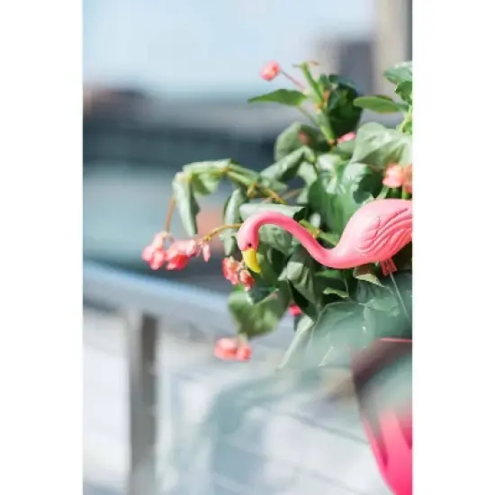 2pk - 11" Mini Mingo - Bloem image {3}