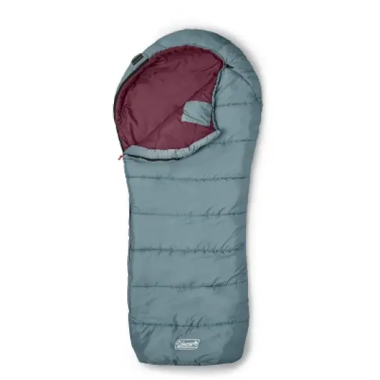 Coleman Tidelands 50 Degree Mummy Sleeping Bag - Gray image {1}