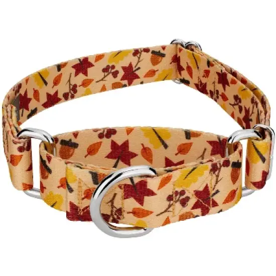 Country Brook Petz Fall Foliage Martingale Dog Collar image {4}