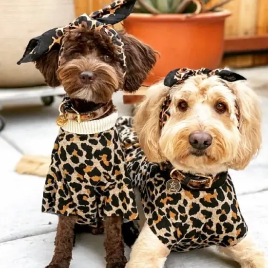 PoisePup &ndash; Luxury Pet Dog Collar &ndash; Soft Premium Italian Leather Padded Adjustable Collar for Small, Medium and Large Dogs - Wildest One image {2}