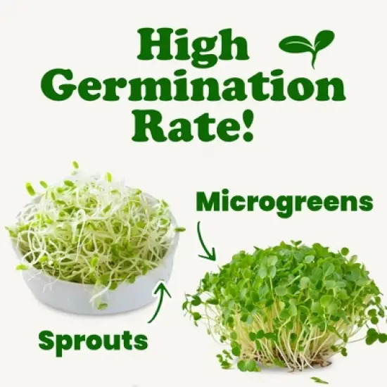Organic Clover Sprouting Seeds - by Food To Live image {4}