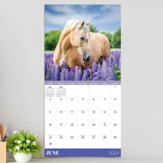 TF Publishing 2024 Wall Calendar 12"x12" Horses image {2}