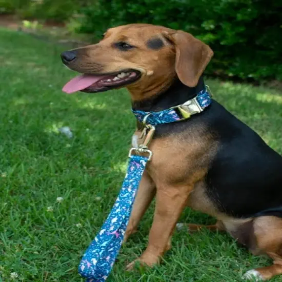 Country Brook Petz Premium Dinosaurs Dog Collar image {2}