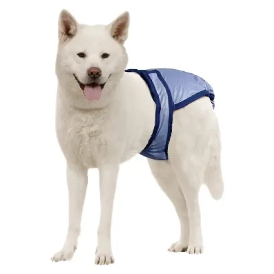 PoochPants Diapers for Pets - Blue image {1}